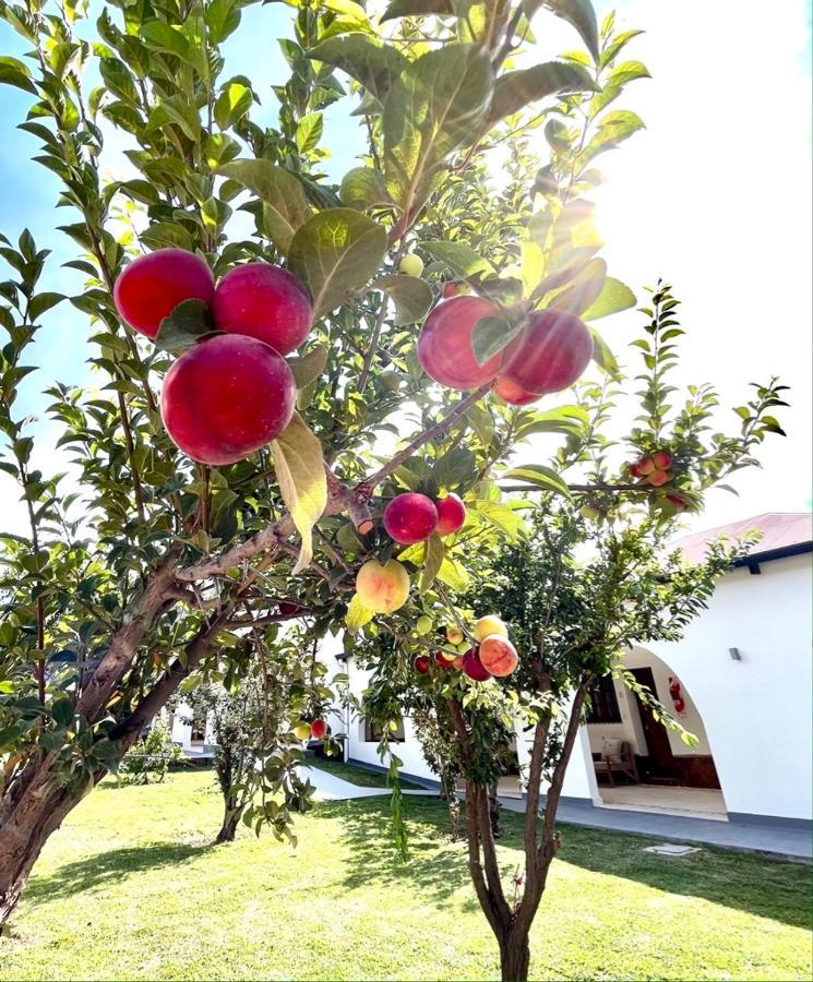 Bella Tilcara Boutique Hotel Екстер'єр фото